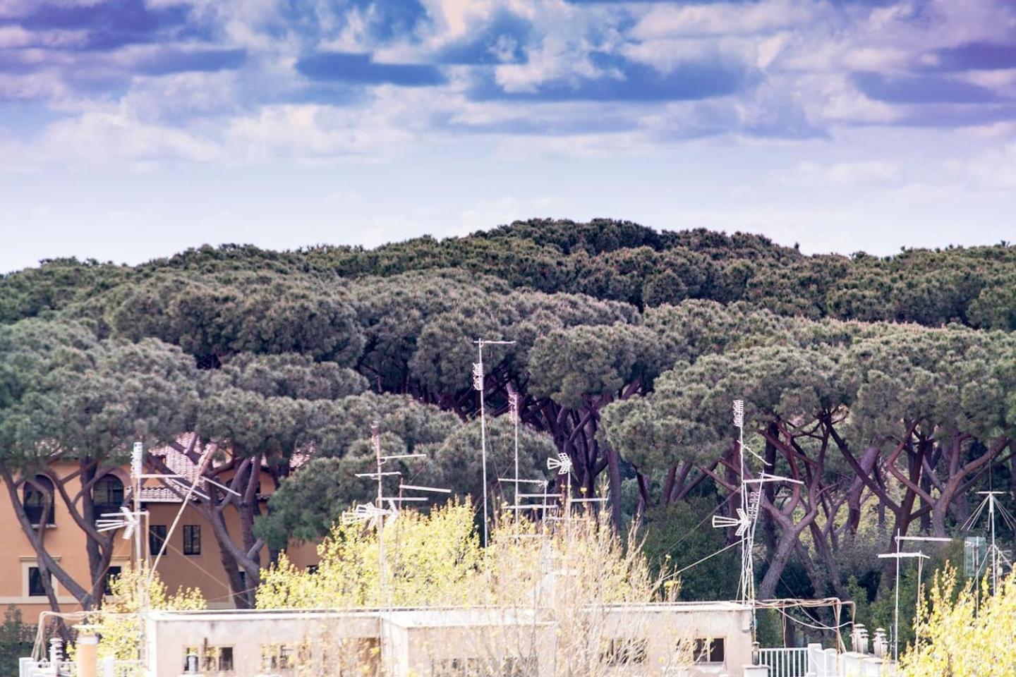 *****Amorhome***** New Luxury Apartment In The Heart Of Rome, Rome